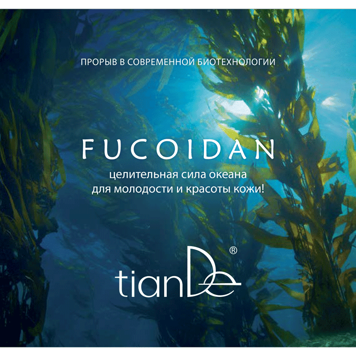 Брошюра «Fucoidan: целительная сила океана для молодости и красоты кожи!» - view 1