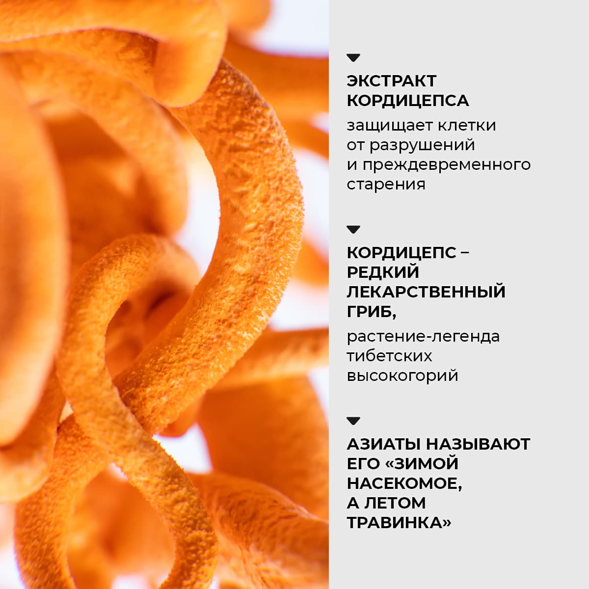 Cыворотка с кордицепсом для лица - view 5