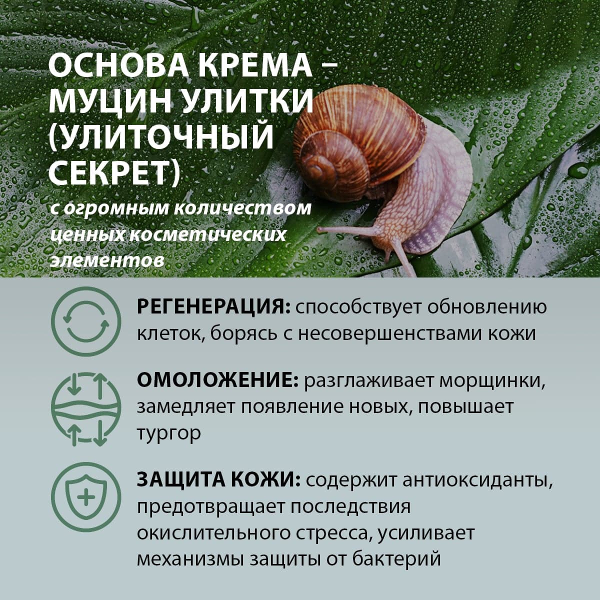 Омолаживающий крем-бустер для рук с муцином улитки - view 4