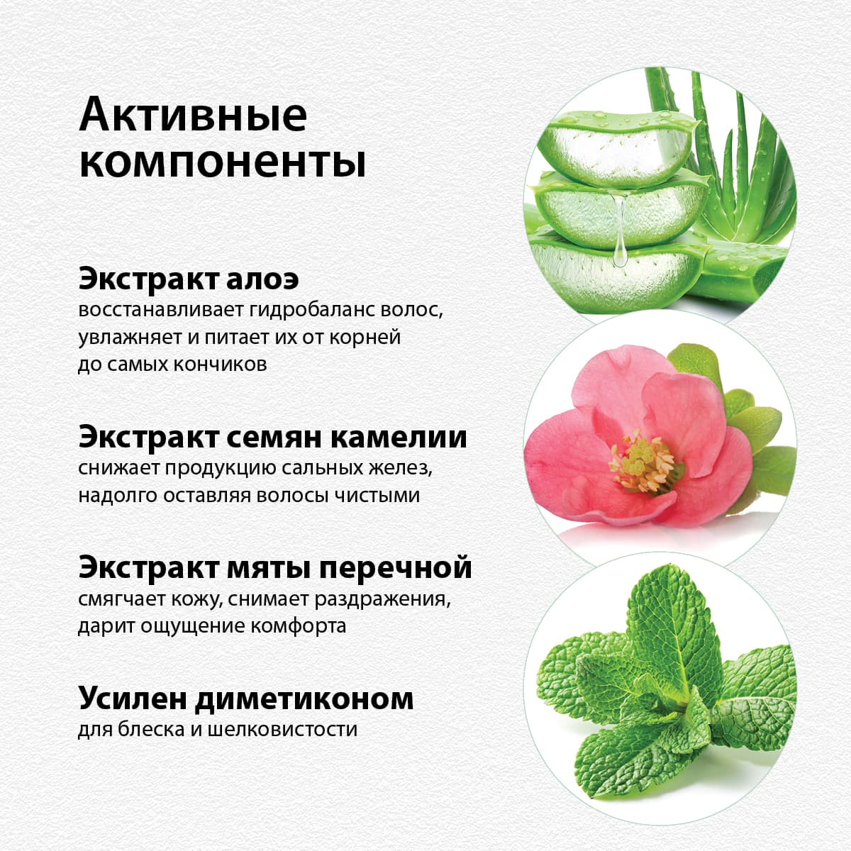 Шампунь c экстрактом алоэ Aloe Rich - view 2