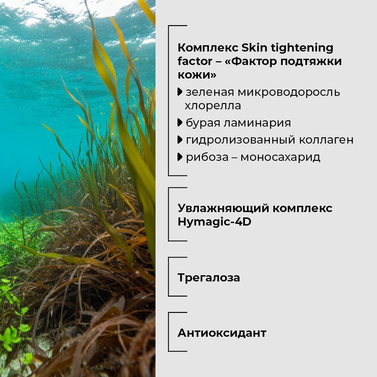 Гиалуроновый гель-лосьон для лица и тела с морскими водорослями - view 4
