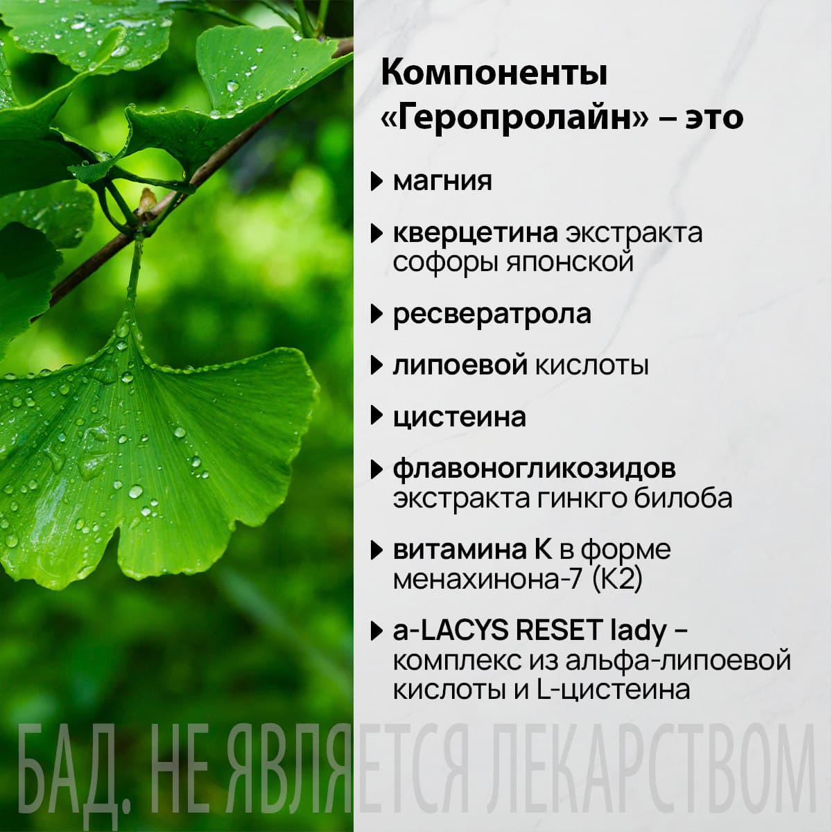 Функциональный комплекс «Геропролайн» - view 4