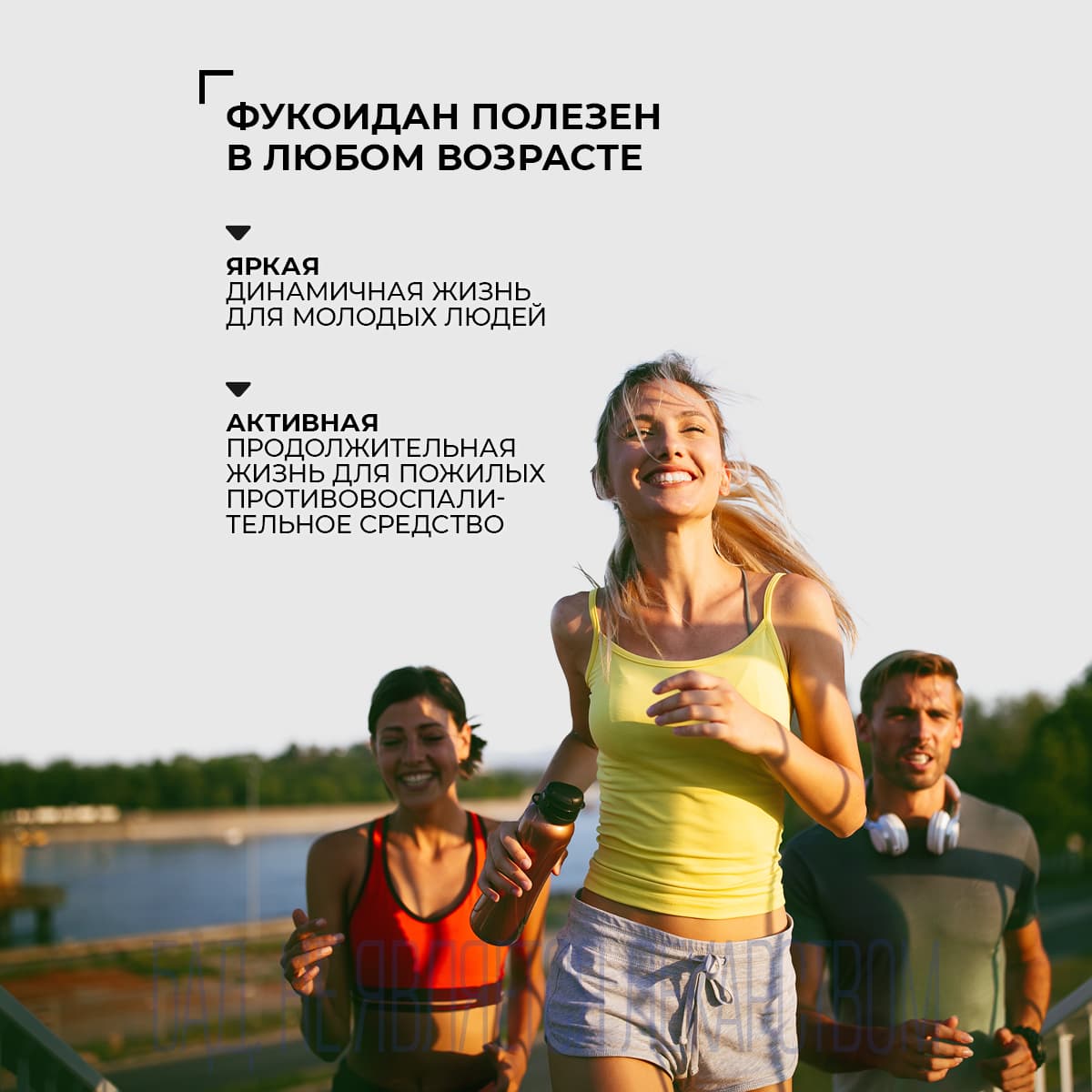 БАД к пище Vital Fucoidan - view 6