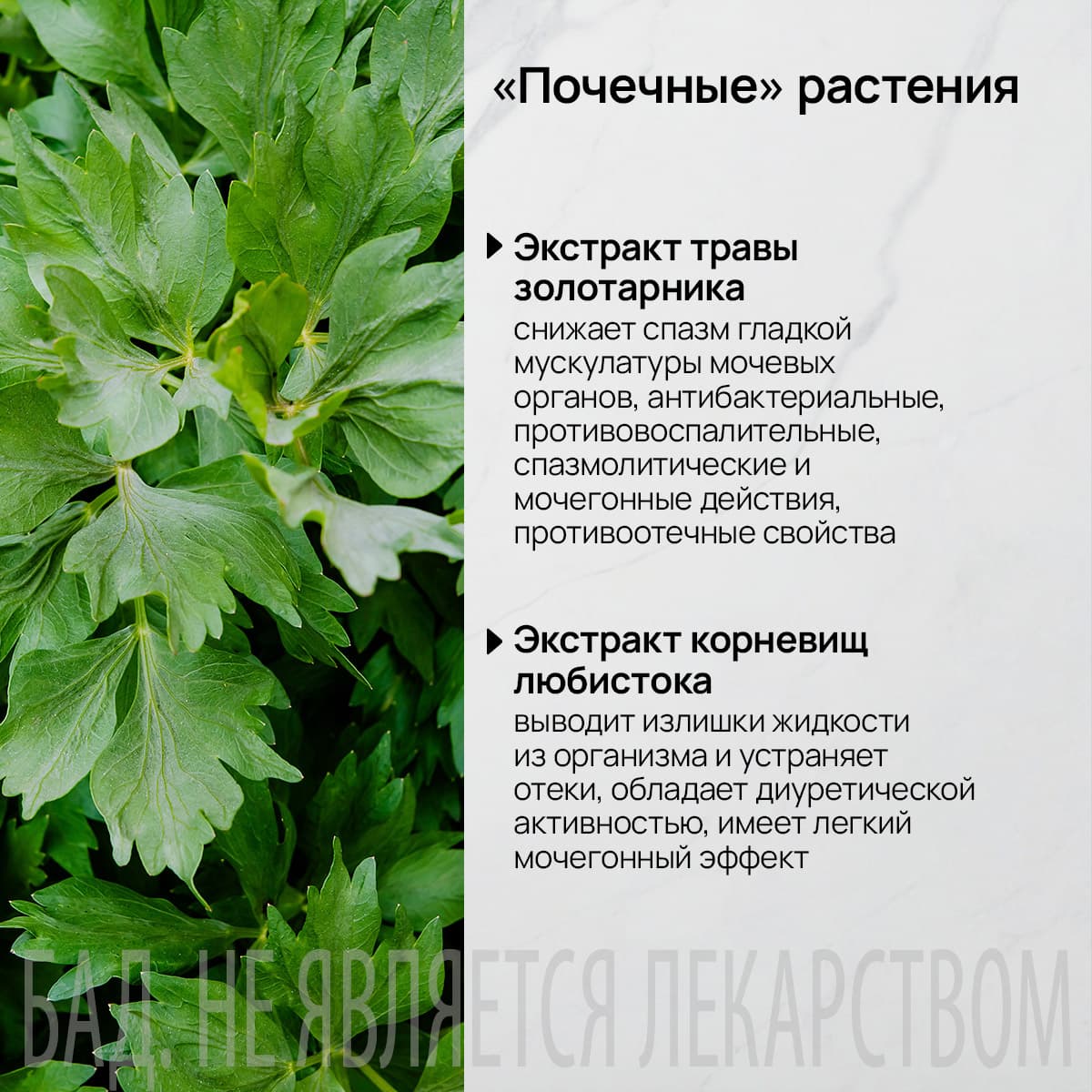 Функциональный комплекс «Златофит» - view 4