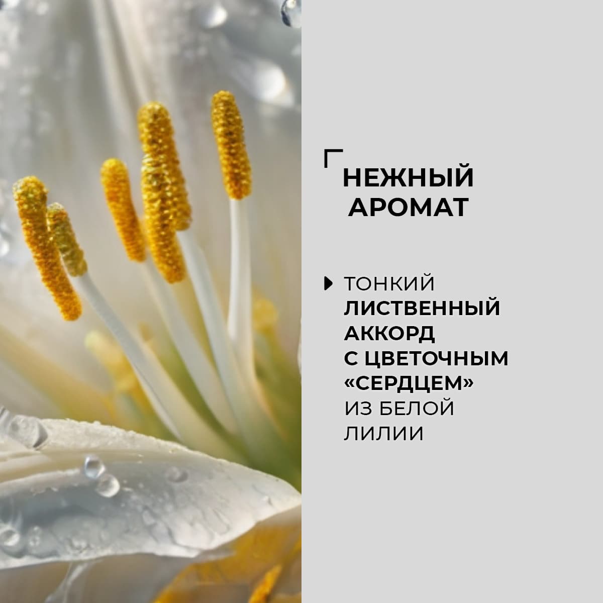 Дезодорант-спрей для тела "Природный алунит и шалфей" - view 5