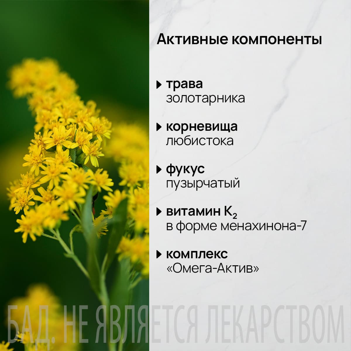 Функциональный комплекс «Златофит» - view 3
