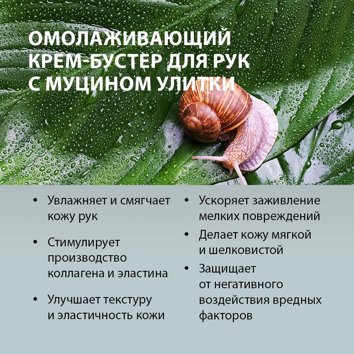 Омолаживающий крем-бустер для рук с муцином улитки - view 2